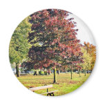 Bench Under The Tree In Park In Autumn Refrigerator Magnet