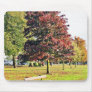 Bench Under The Tree In Park In Autumn Mousepads