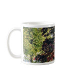 Bench Under The Tree In Park In Autumn Mugs