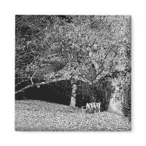 Bench Under Tree Magnets