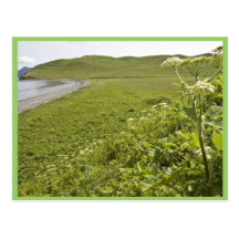 Bendel Island coastline Post Card