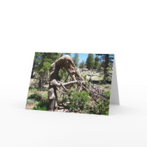 Bending Over Backwards Greeting Cards