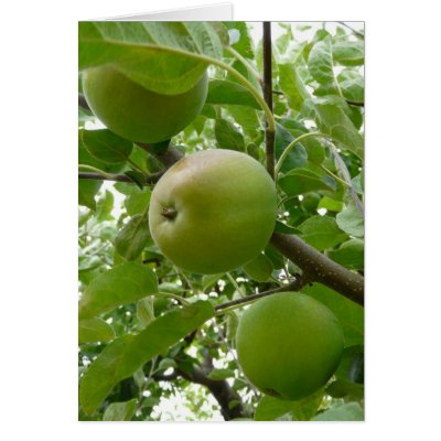 Beneath the Apple Tree by CountryCorner
