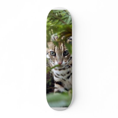 Bengal Cat 022 by BCRcats