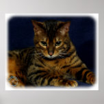 Bengal Cat 9W080D-128 Posters