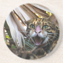 Bengal Cat Coaster