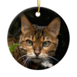 Bengal Cat Ornament
