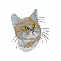 Bengal