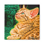 Bengal Kitten 2 Pop Magnet