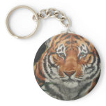 Bengal Prowl keychains