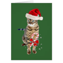 Bengal Santa gifts Greeting Card
