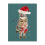 Bengal Santa gifts Post Card
