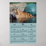 Bengal Tiger 2011 Calendar Poster posters