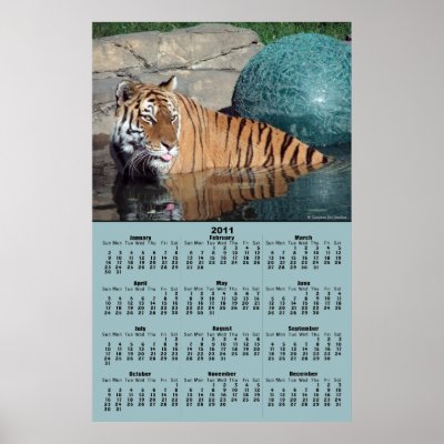 Bengal Tiger 2011 Calendar Poster by CeruleanSkyStudios