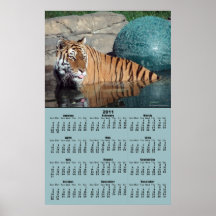 Bengal Tiger 2011 Calendar Poster