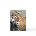 Bengal Tiger Blank Vertical Note Card