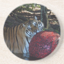 Bengal Tiger Coaster