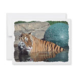 Bengal Tiger Customisable Stylised Invitation