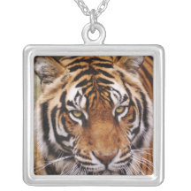 Bengal Tiger, Panthera tigris Personalized Necklace