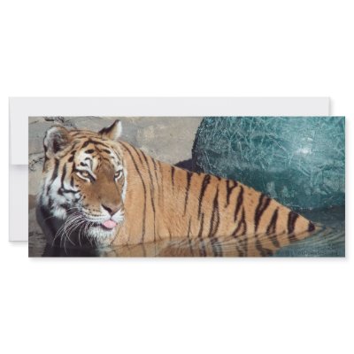Bengal Tiger Photo Bookmark by CeruleanSkyStudios