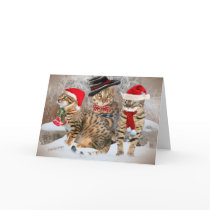 Bengal's Christmas Day gifts & Apparel