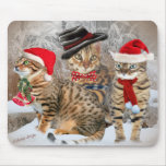 Bengal's Christmas Day gifts & Apparel