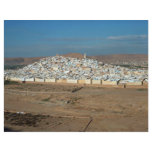Beni Izguen Oasis, Algeria Desert flyers