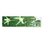 Bent Blossoms Bumper Sticker