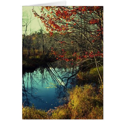 Bent Trees Card by Merritt_B