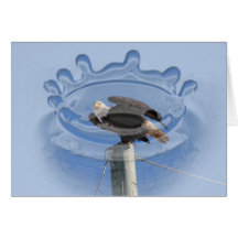 BEOUP Bald Eagle on Utility Pole Greeting Cards
