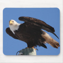 BEOUP Bald Eagle on Utility Pole Mouse Pad