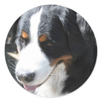 Berenese Stickers