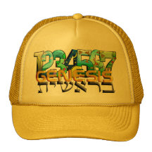 Bereshit Mesh Hats