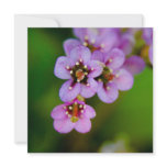 Bergenia • Card / Invitation