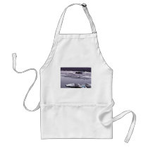 Bering Glacier Aprons
