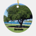 Bermuda Christmas Ornaments
