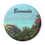 Bermuda Fridge Magnets