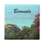 Bermuda Refrigerator Magnets
