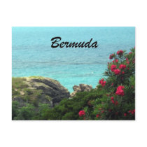 Bermuda Post Card