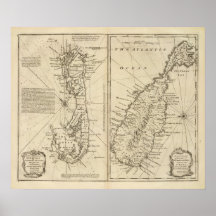 Bermuda Print