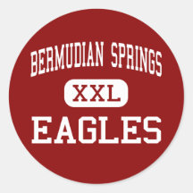 Bermudian Springs - Eagles - High - York Springs Sticker