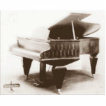Berndl Concert Piano 1908 photo sculptures