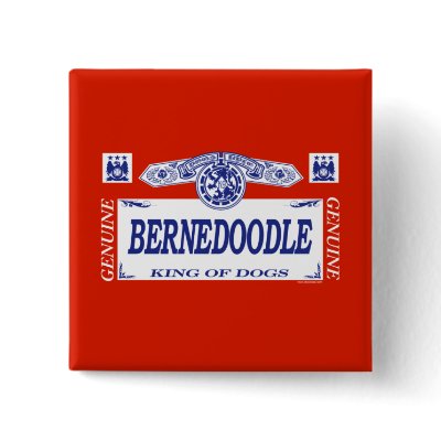 Bernedoodle by dogbreedz