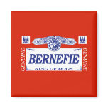 Bernefie magnets