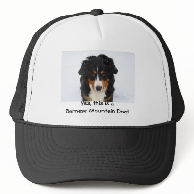 Berner Hat by shellmart