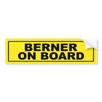 Berner on Board by RayBarnsbury