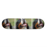 Berner Sennenhund Dog Skateboard