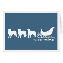 Berners Pulling Santa's Sleigh Greeting Cards