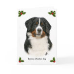 Bernese 9Y348D-094 cards