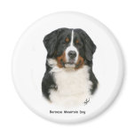 Bernese 9Y348D-094 Magnets